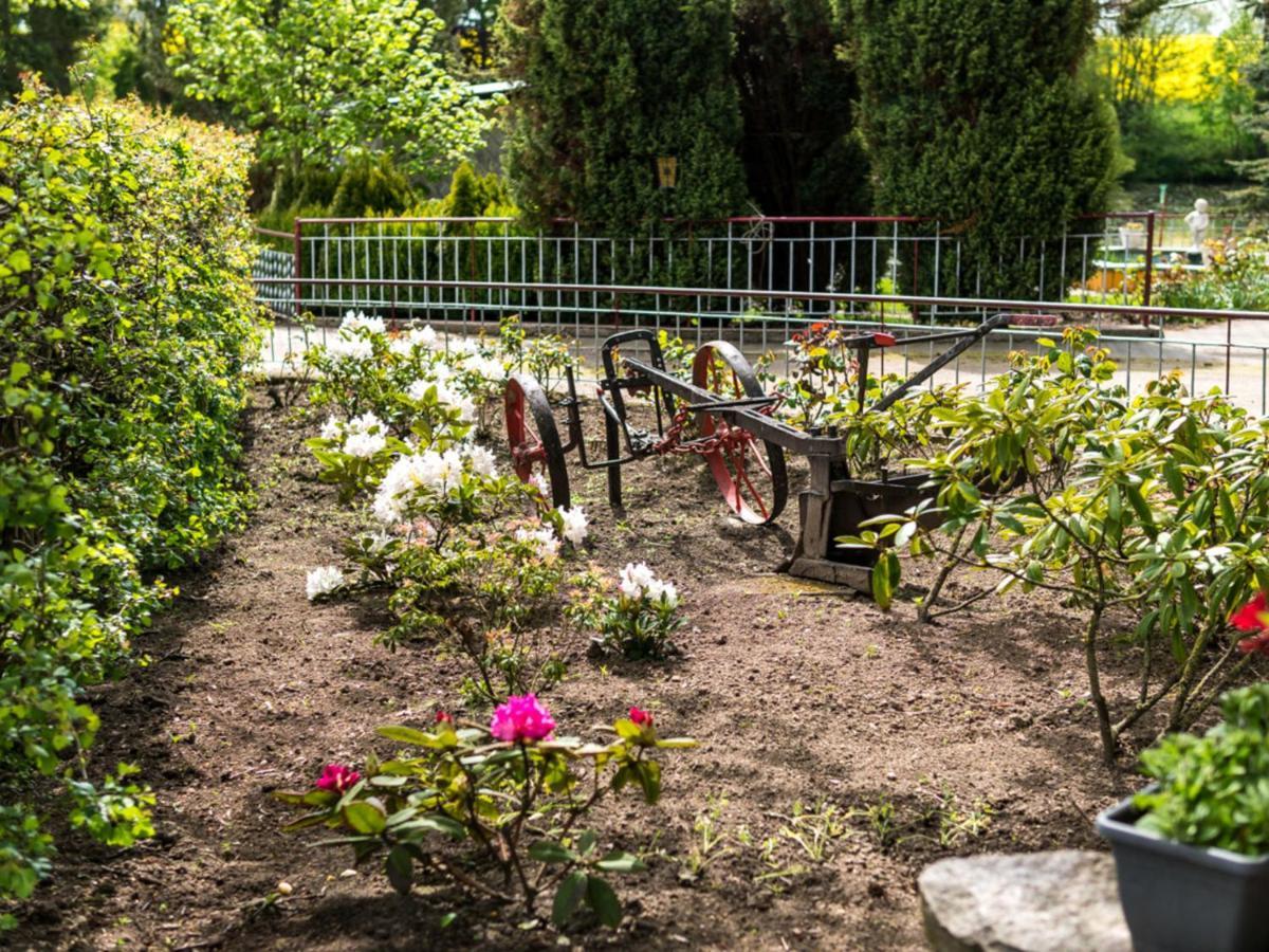 Gartenbungalow 2 Rechte Seite Klein Pravtshagen Phòng bức ảnh